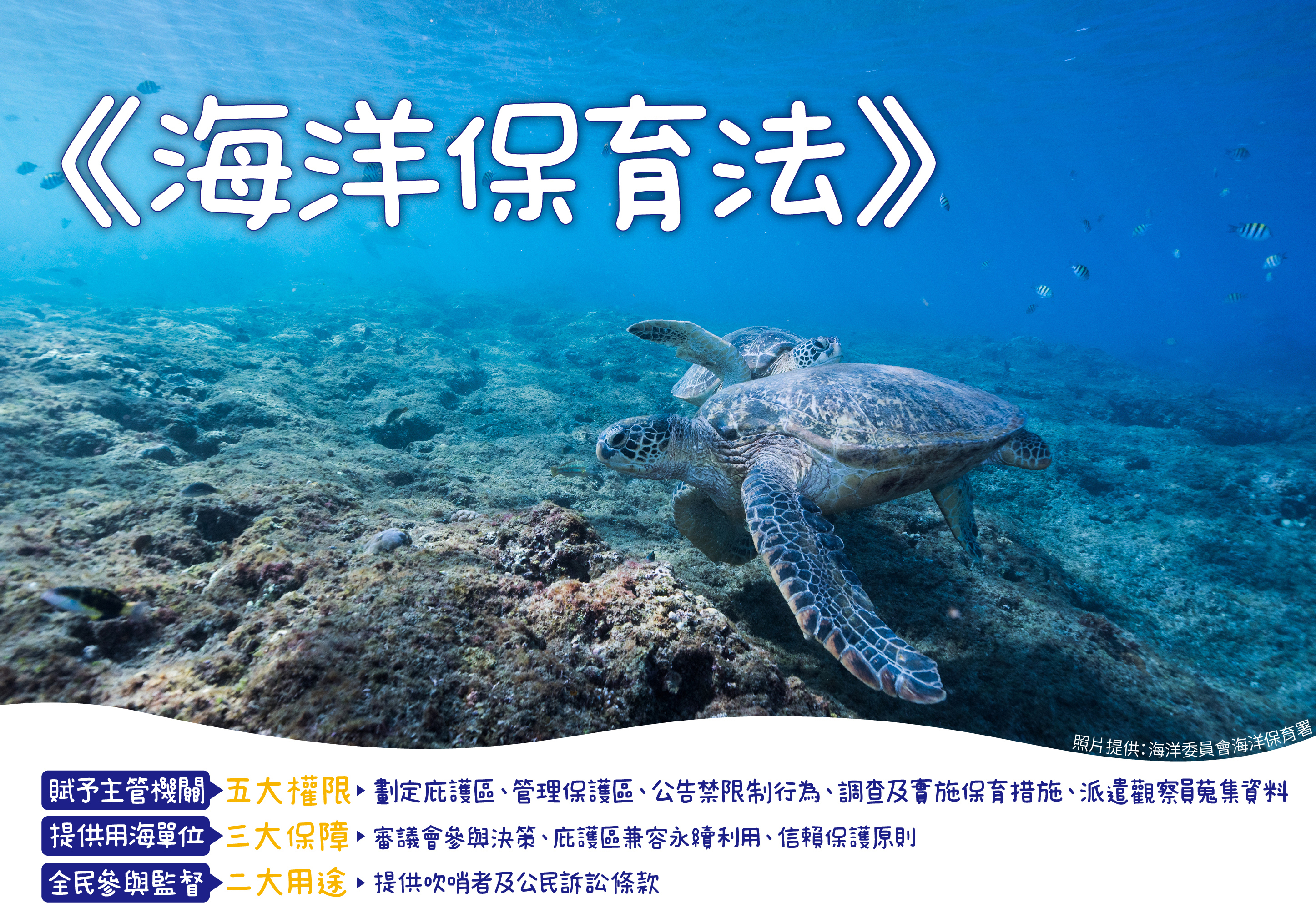 海洋保育法
